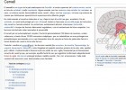 El cervell | Recurso educativo 35051