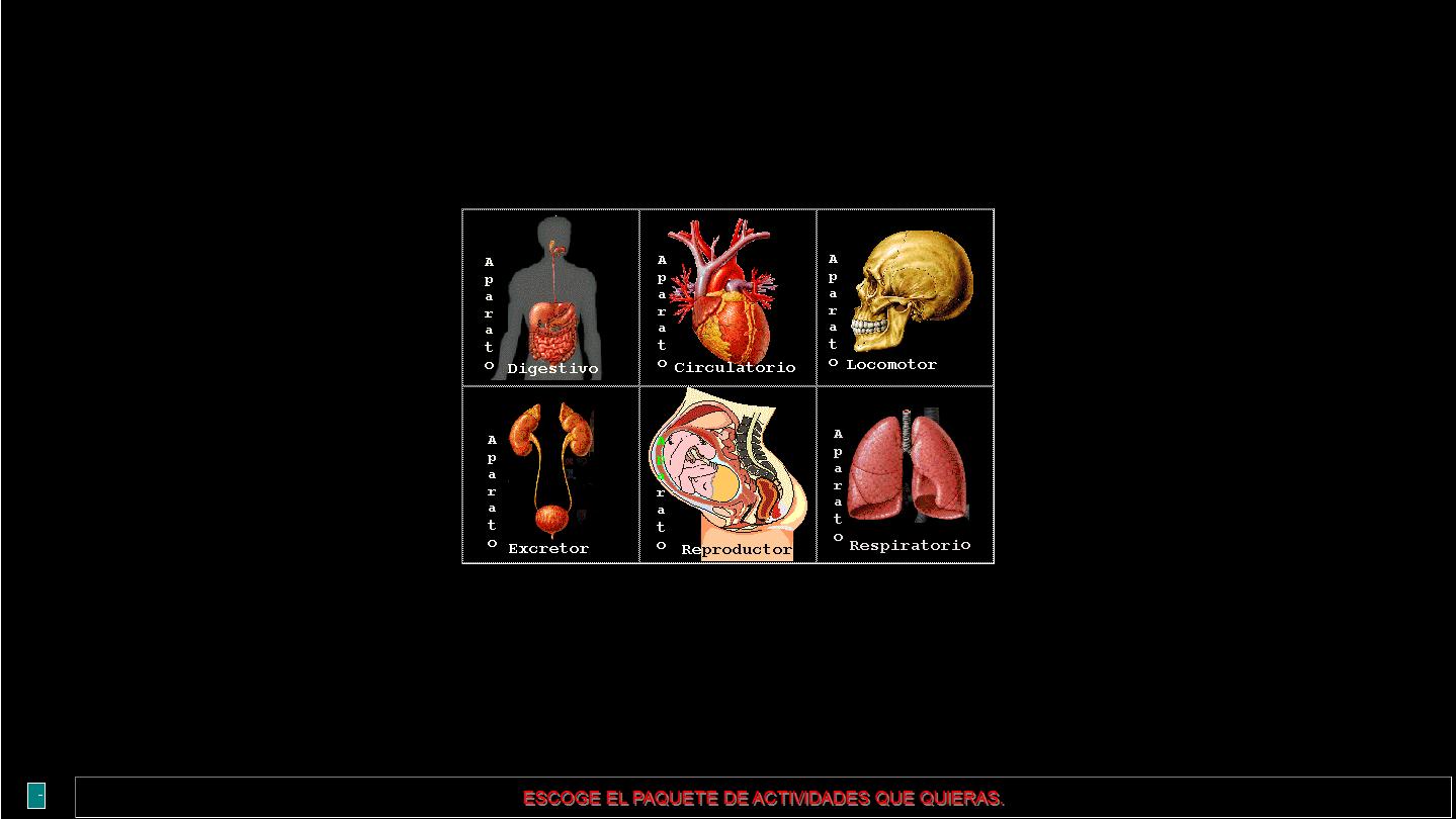 Aparatos del cuerpo humano | Recurso educativo 35667