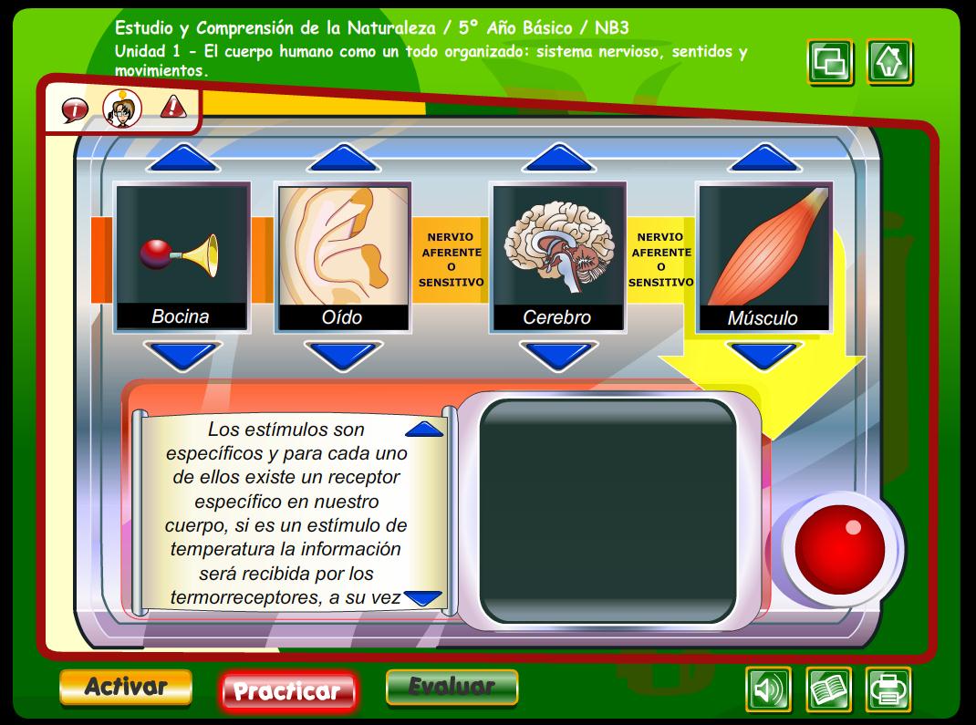 Nervios que todo lo transmiten | Recurso educativo 45199