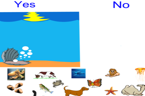 Sea animals | Recurso educativo 45698