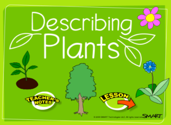 Describing plants | Recurso educativo 47409