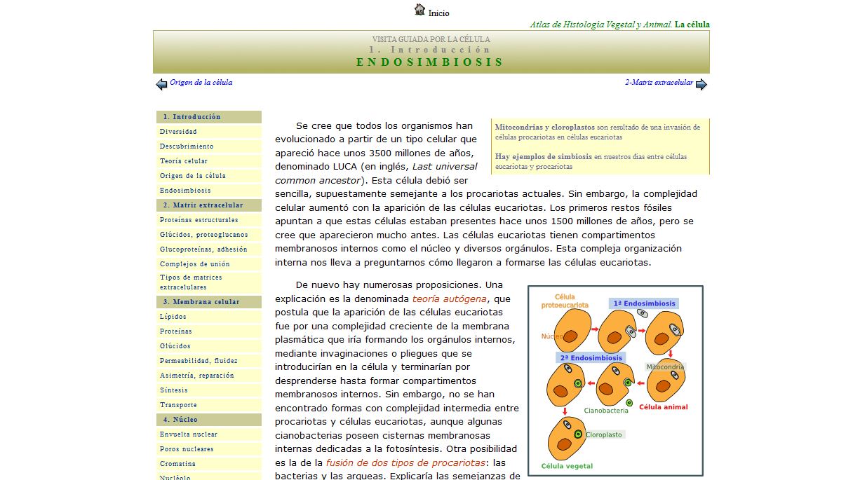 Endosimbiosi | Recurso educativo 47670