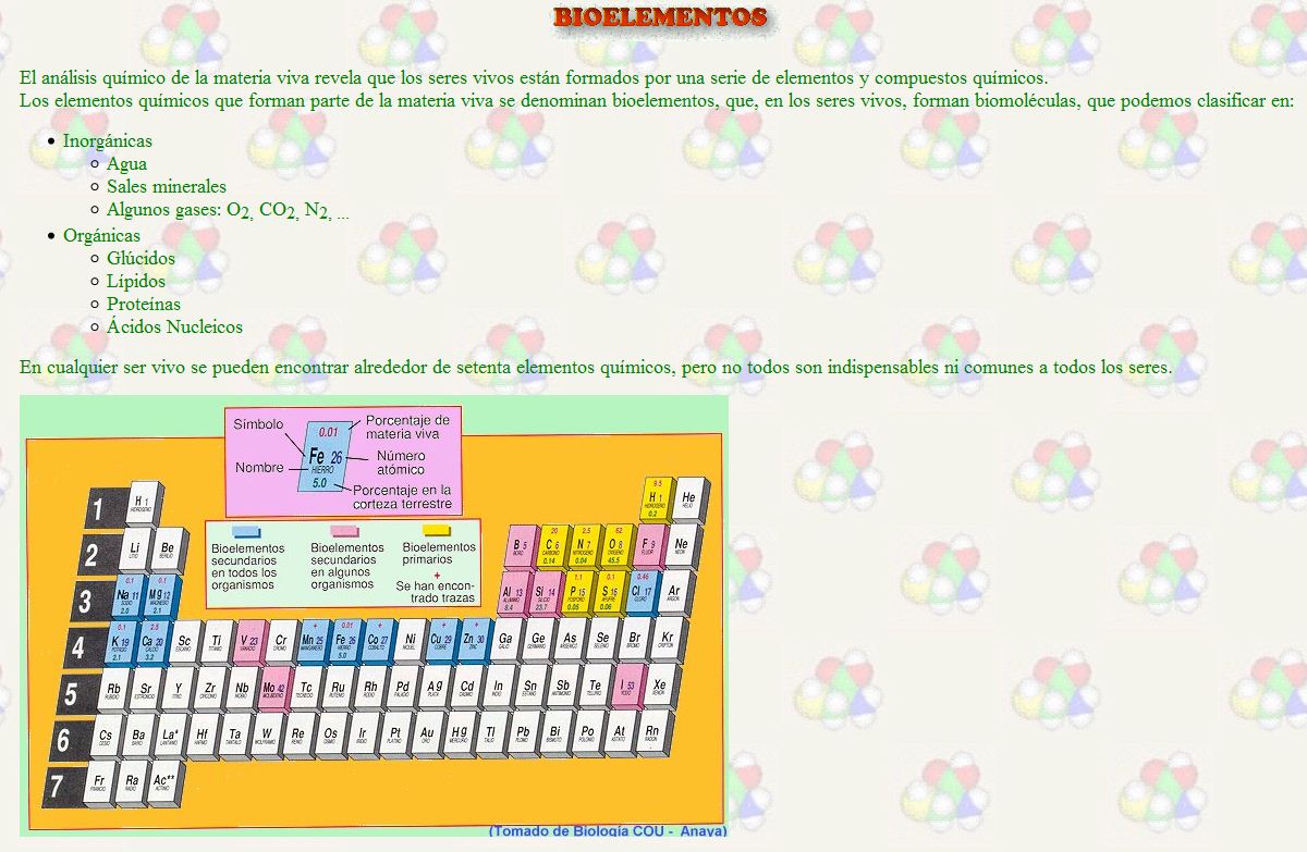 Bioelementos | Recurso educativo 48529
