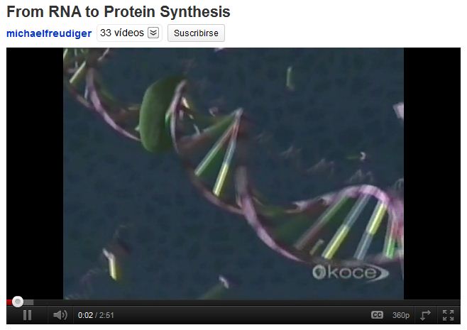 Síntesi de proteïnes | Recurso educativo 49103