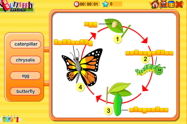 Butterfly life cycle | Recurso educativo 49618