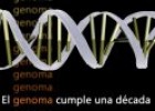 El genoma cumple una década | Recurso educativo 53675
