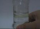 Experimento: ¿Por qué el aceite y el agua no se pueden mezclar? | Recurso educativo 10131