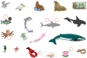 Sea animals | Recurso educativo 14219