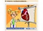 El aparato circulatorio | Recurso educativo 26833