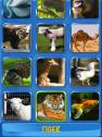 Animals | Recurso educativo 61520