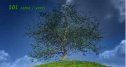 The growing tree | Recurso educativo 65840