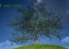 The growing tree | Recurso educativo 65840