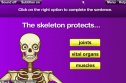 Skeletons and bones activity | Recurso educativo 71486