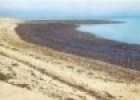 La contaminación litoral | Recurso educativo 72323