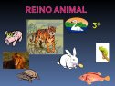 Els animals | Recurso educativo 77287