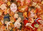 Cuentos infantiles cortos:  Por qué se caen las hojas de los árboles | Recurso educativo 420960