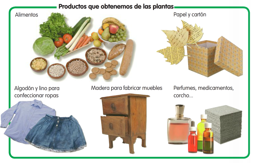 Resultado de imagen de quÃ© obtenemos de las plantas