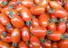 Grow tomatoes with children / RHS Gardening | Recurso educativo 726867