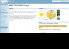 Clima i Vegetació d'Espanya | Recurso educativo 730953