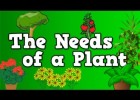The Needs of a Plant | Recurso educativo 737523