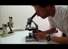 Cómo utilizar un microscopio escolar | Recurso educativo 741157