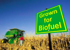 What are biofuels? | Recurso educativo 742546