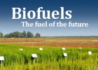 Biofuels - Biofuel Facts | Recurso educativo 742549
