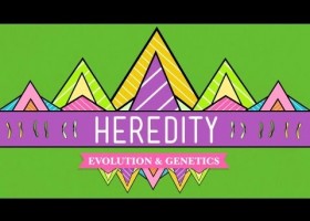 Heredity | Recurso educativo 747311