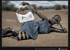 Campaña social: lujo vs. hambre - Territorio creativo | Recurso educativo 751043
