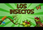 Els insectes | Recurso educativo 768949