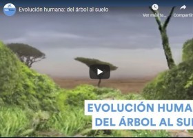 Evolución humana: del árbol al suelo | Recurso educativo 782695