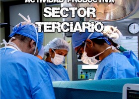 La actividad productiva: El sector terciario. | Recurso educativo 782835