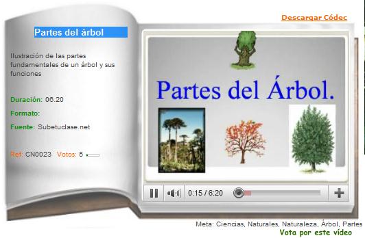 Partes del árbol | Recurso educativo 36236