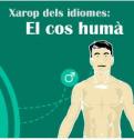 El jarabe de los idiomas: El cuerpo humano | Recurso educativo 29031