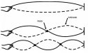 Las ondas estacionarias | Recurso educativo 80814