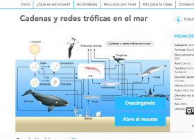 Cadenas y redes tróficas en el mar | Recurso educativo 740521