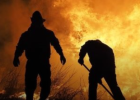 Incendios forestales en Andalucía | Recurso educativo 7903299